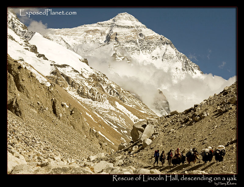 Lincoln Hall on a yak after rescue on Everest