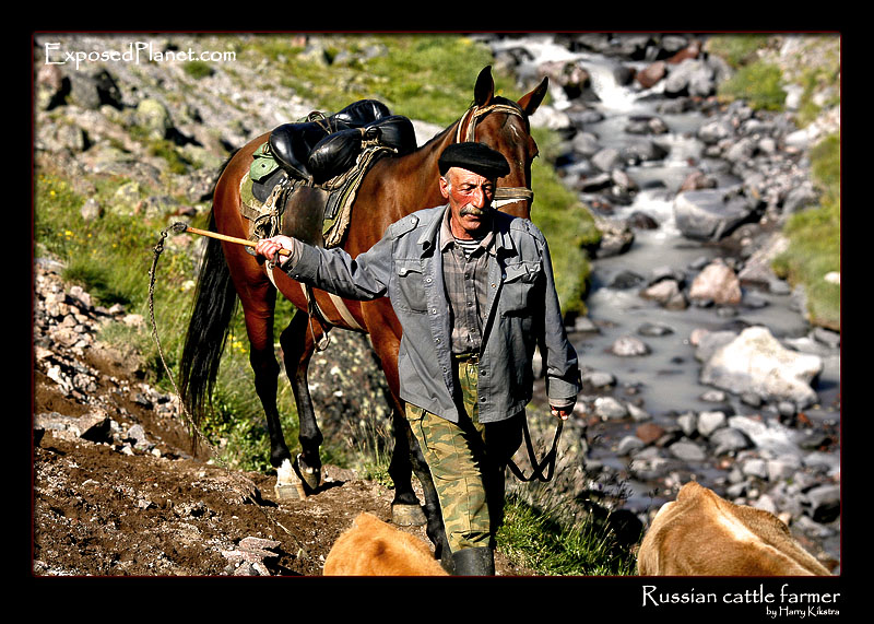 Russian cattle farmer