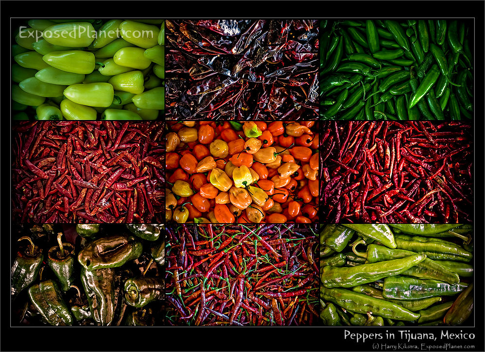 Mexican Chili Peppers