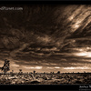 Joshua Tree national Park in Black and White (2)