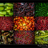 Mexican Chili Peppers