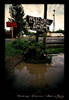 Street sign in downtown Talkeetna, Alaska