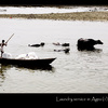 Laundry service in Agra, part 1: dirty laundry ferry
