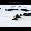 Antarctic Beauty