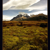 Meadow in Torres del Paine park, Chile