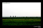 Dutch Cyclists fighting the wind on a dike