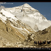 Lincoln Hall on a yak after rescue on Everest