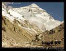 Lincoln Hall on a yak after rescue on Everest