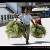 Nepali man carrying baskets in Kathmandu