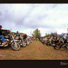 Biker wedding, Alaska