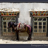 Parking space in Taschi Dzom, Tibet