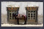 Parking space in Taschi Dzom, Tibet