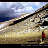 White Rocks traverse on Aconcagua, Argentina