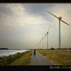 Cyclist and the Dutch Windmills of the new age